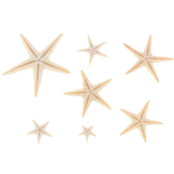 Jūros Kriauklių Dydis:0,5-3cm 100vnt Mini Žvaigždė Amatų Apdaila, Natūralus Jūros Žvaigždės 